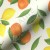 2.171031.1039.275 - Citrus Fruit - 1