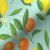2.171031.1040.655 - Citrus Fruit - 2