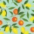 2.171031.1040.655 - Citrus Fruit - 2