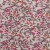 Colour: Flowers Fuchsia