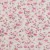 Colour: Flowers Fuchsia