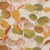 Colour: Dragonflies Ochre