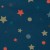 Colour: Stars & Dots Petrol