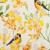 Colour: Birds & Flowers White-yellow