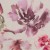 Colour: Waterflower Fuchsia