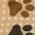 Pattern / Colour: KC4007-253 - Dot With Dogfeet Beige Brown