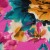 Colour: Flowers Fuchsia