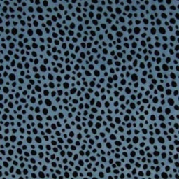 KC8383 - Nicky Velour Print
