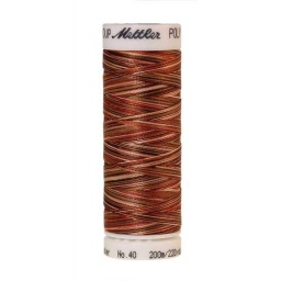 9302 - Autumn Spice  Poly Sheen Multi Thread