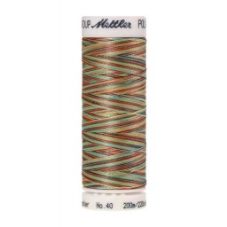 9974 - Coastal Mix  Poly Sheen Multi Thread