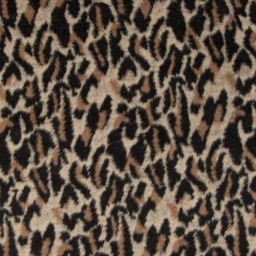 Q22340 - Wool Safari