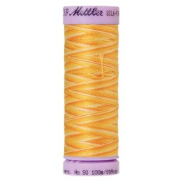 9827 - Horizon  Silk Finish Cotton Multi 50 Thread