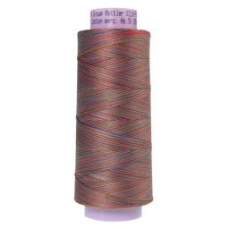 9842 - Preppy Brights  Silk Finish Cotton Multi 50 Thread - Large Spool