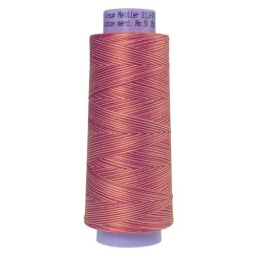 9858 - Falling Leaves  Silk Finish Cotton Multi 50 Thread - Large Spool
