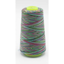 XOL13-116-999 - Multicolour Overlock Yarn
