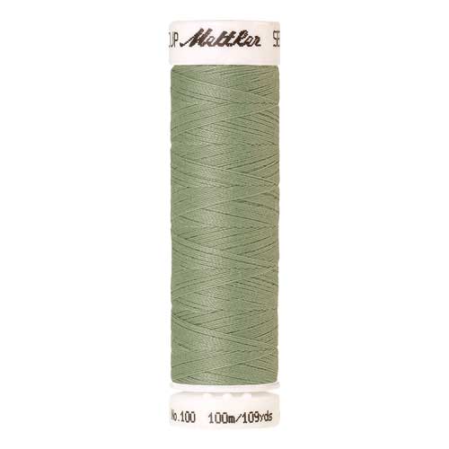 1095 - Spanish Moss Seralon Thread