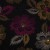 Colour: Flowers Fuchsia