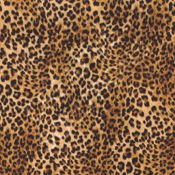 1.152520.1018.230 - Leopard Animal Skin