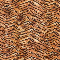 1.152520.1019.230 - Tiger Animal Skin