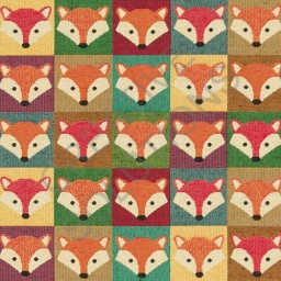 1.251030.1638.655 - Fox Fancy Face