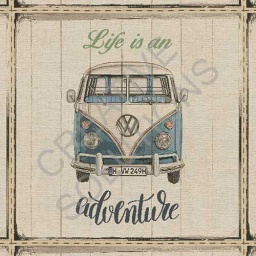 1.251531.1015.460 - VW Vintage Pillow