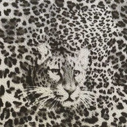 240094-5 - Leatherette Printed - Leopard Beige