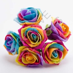 FR-0884 - Rainbow/Pride 5cm Colourfast Foam Roses