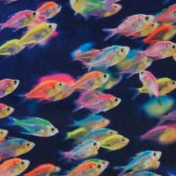 K45010 - Soft Shell Digital Print