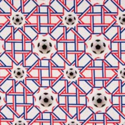 K50004 - Cotton / Ea Jersey Digital