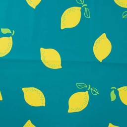 K68515-260 - Raincoat - Lemons Emerald