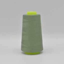 210 - Dusty Mint Overlock Yarn