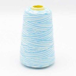 101 - Multicolour Overlock Yarn