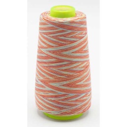 117 - Multicolour Overlock Yarn