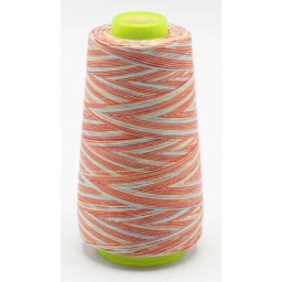 XOL13-117-999 - Multicolour Overlock Yarn